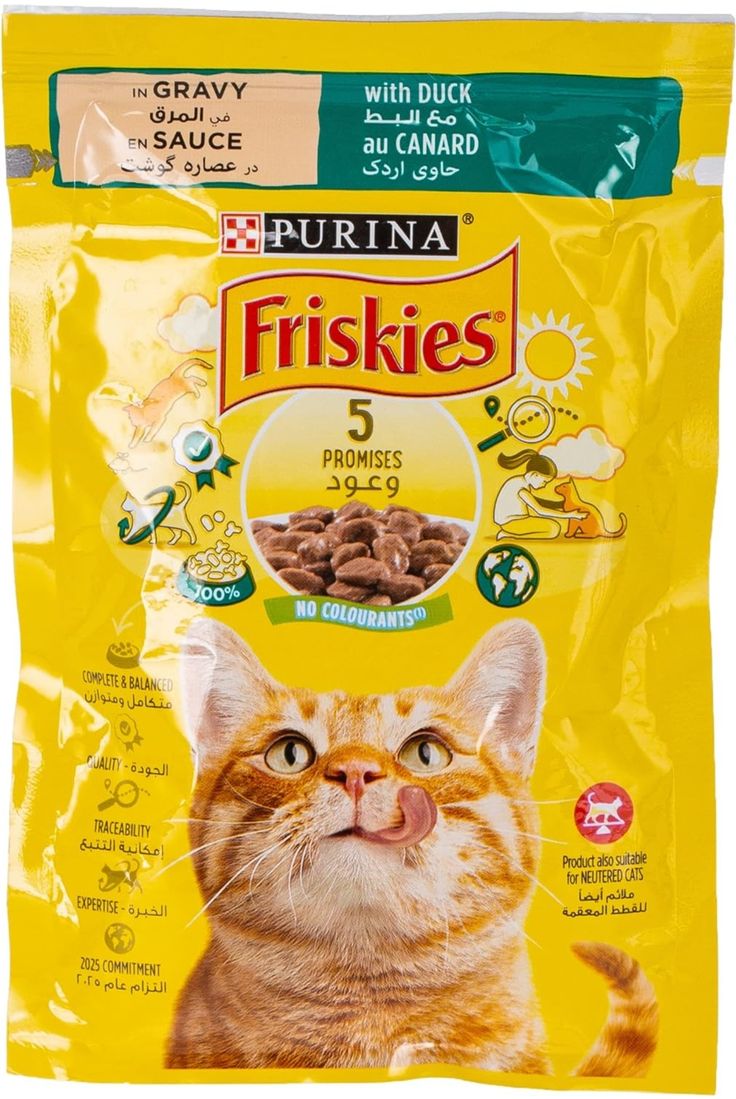 Friskies (Kitten)
